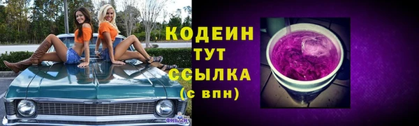 хмурый Алзамай