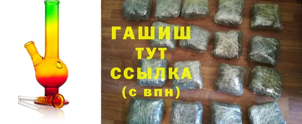 хмурый Алзамай