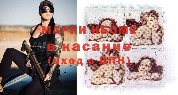 хмурый Алзамай