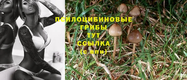 каннабис Алексин