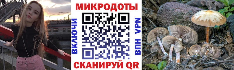 Галлюциногенные грибы ЛСД  Купить закладки  Краснодар 